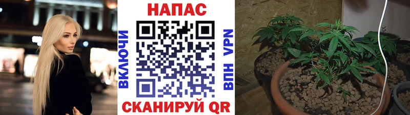 Марихуана план  Окуловка 
